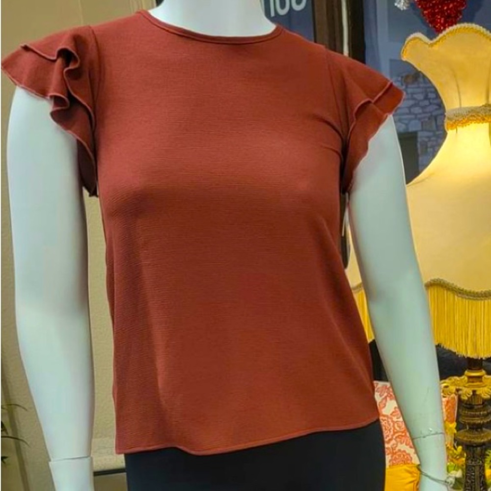 Perfect Peach - Terracotta Ruffle Sleeve Small Blouse